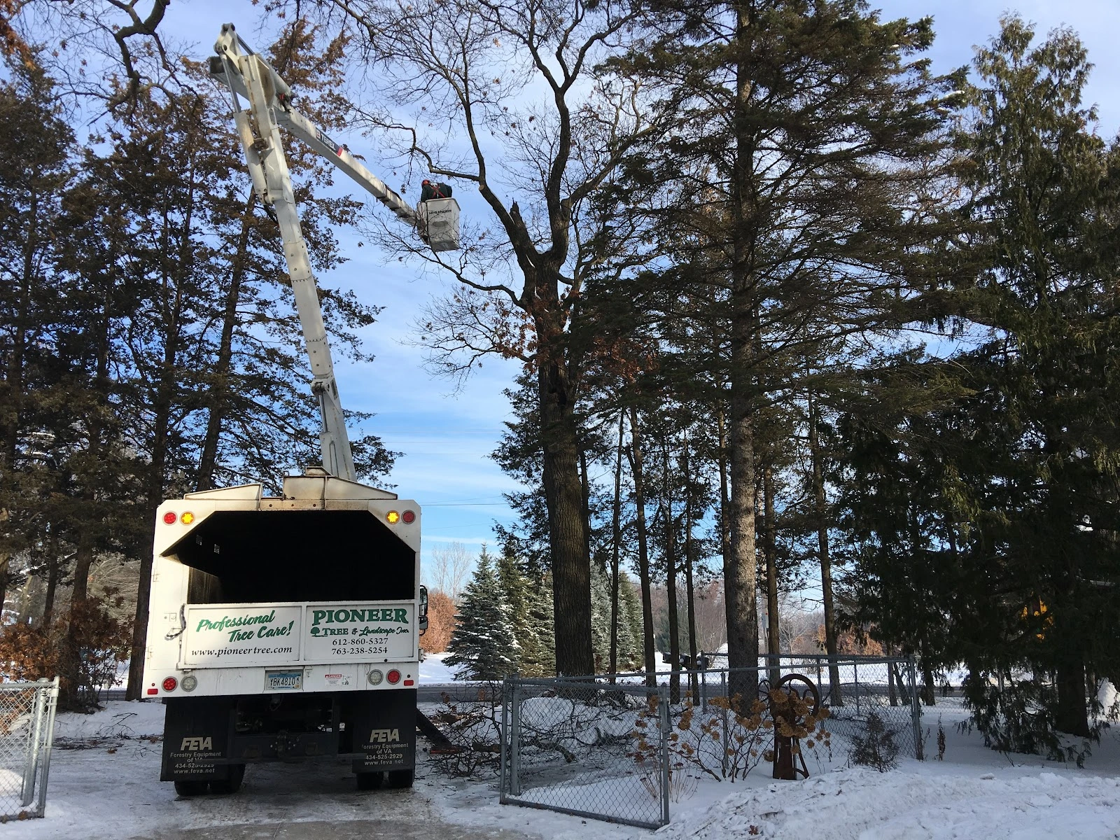 Pioneer Tree Service