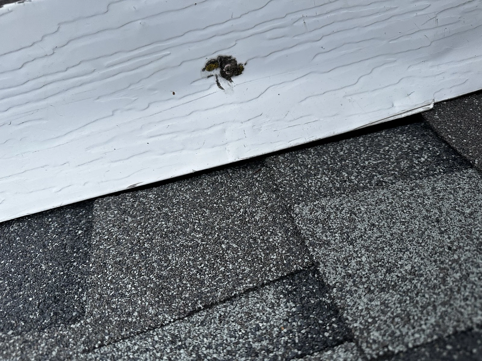 John Haley #1 Roofer, LLC.