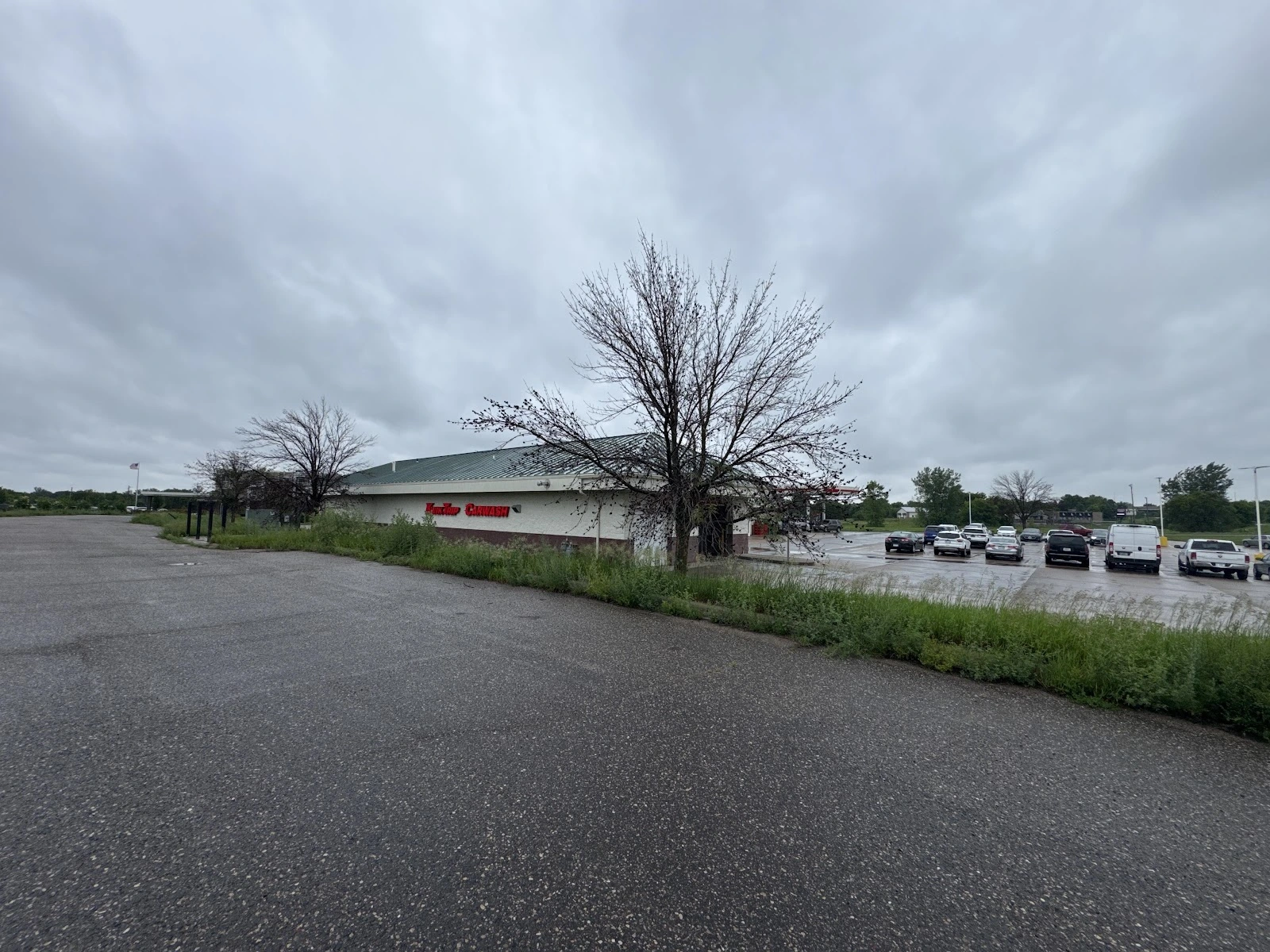 New Horizons Tree Experts