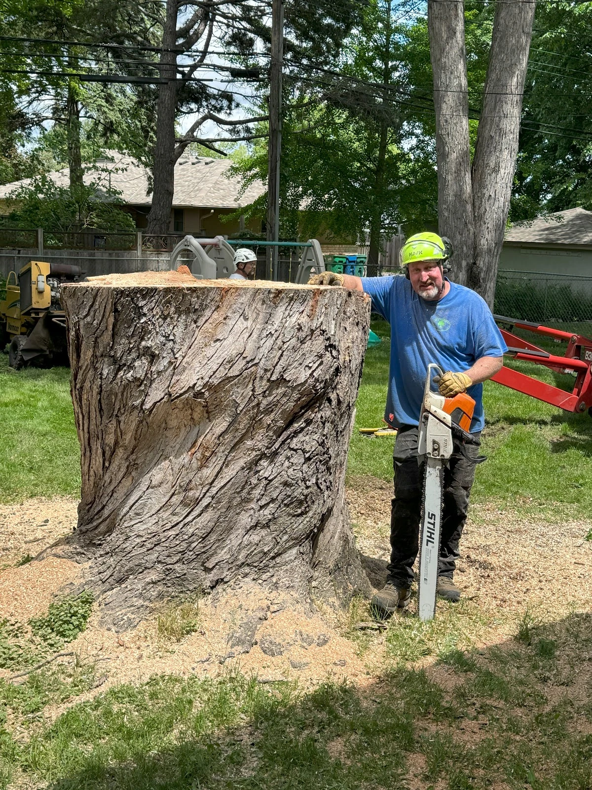 New Horizons Tree Experts