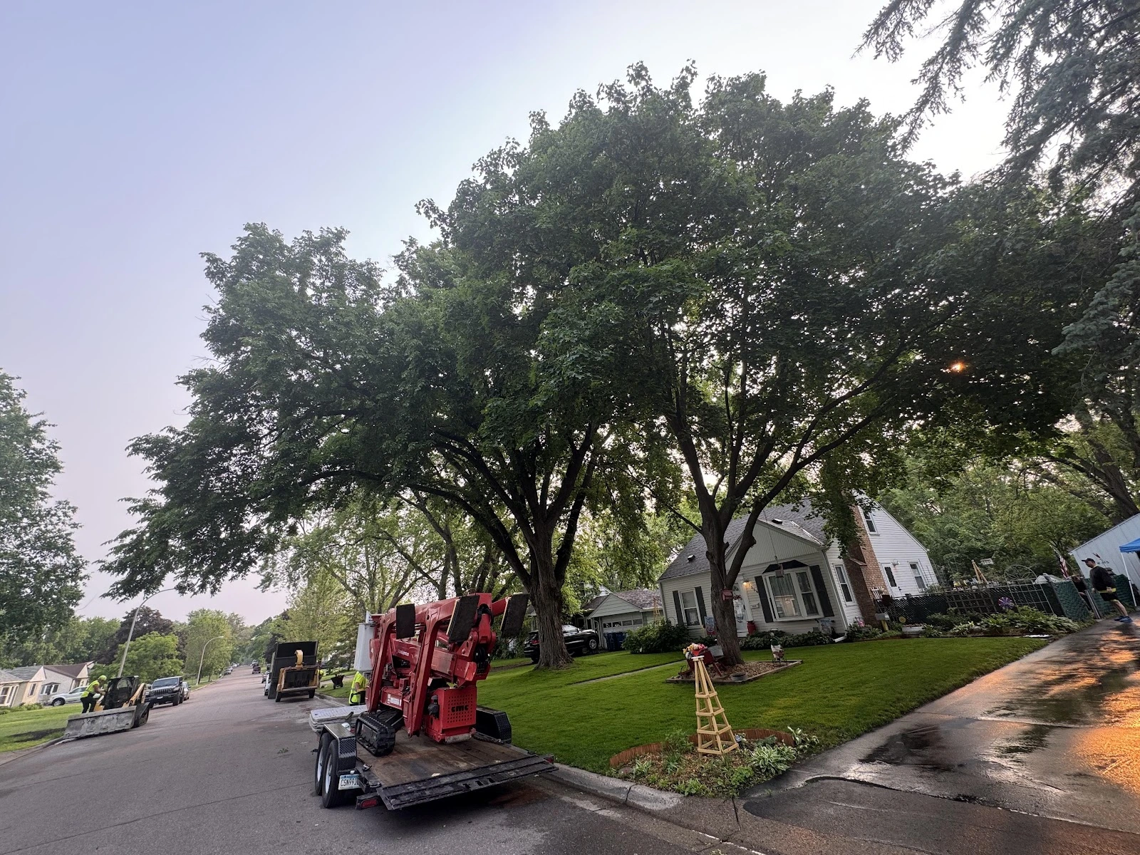 New Horizons Tree Experts