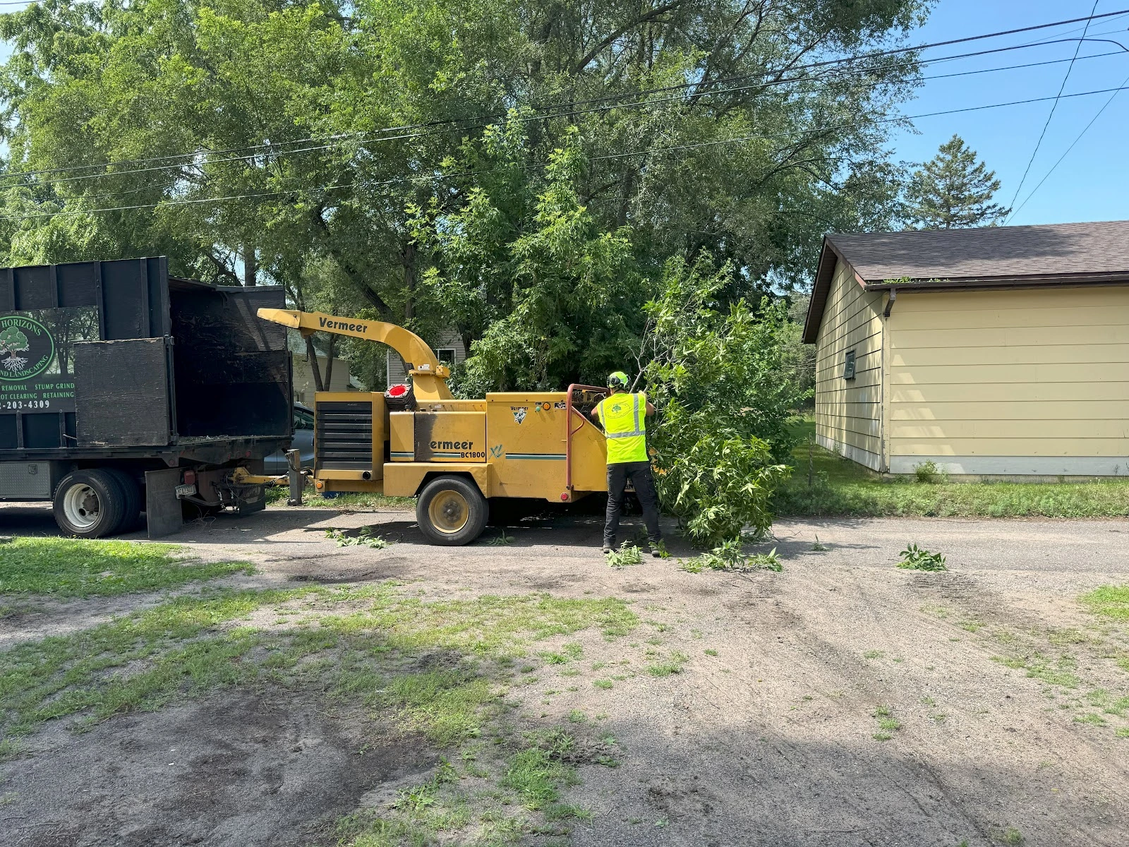 New Horizons Tree Experts