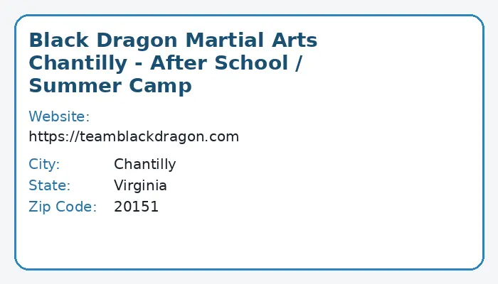 Martial Arts After School & Summer Camp in Chantilly, Virginia