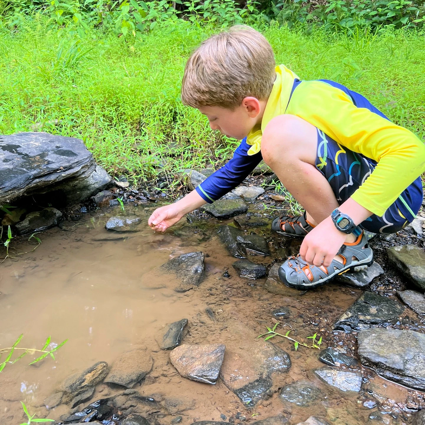 Camp Under the Stars