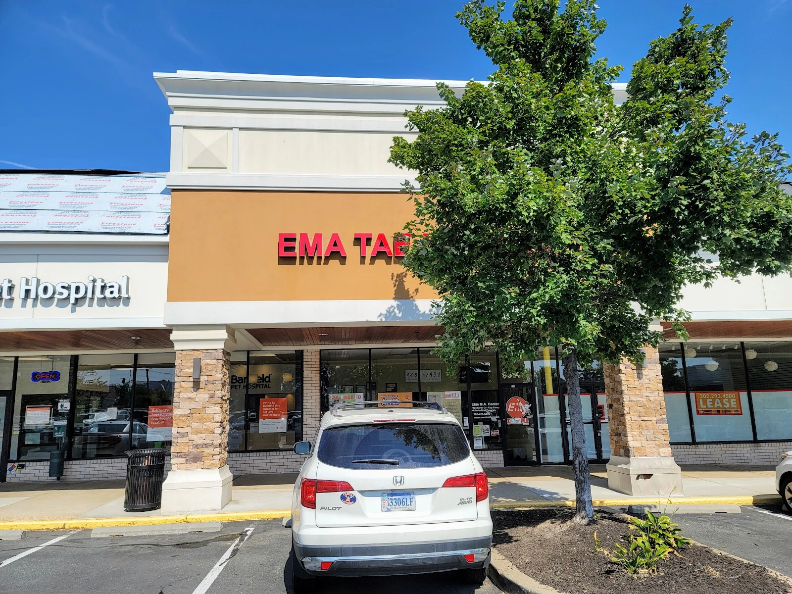 Elite M.A. Center - Fairfax