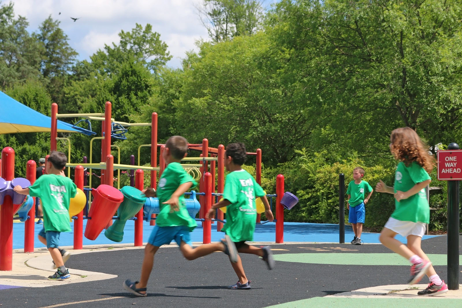 Elite M.A. Center - Fairfax