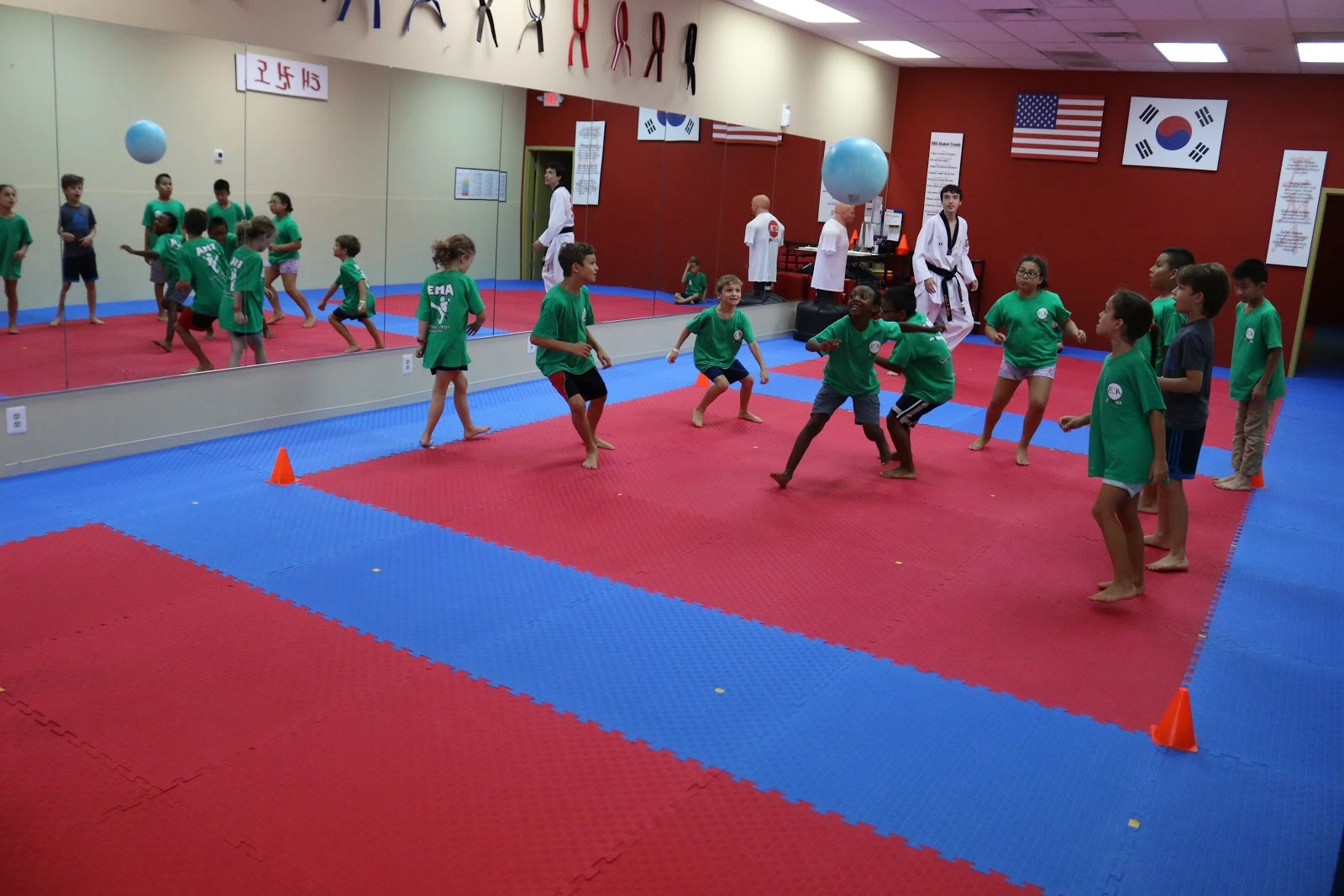 Elite M.A. Center - Fairfax