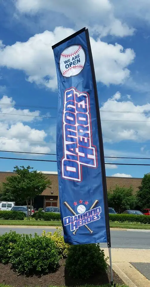 Diamond Heroes Baseball