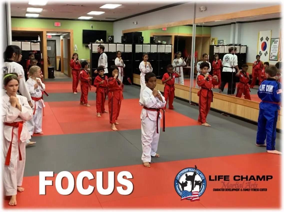 Life Champ Martial Arts of Kingstowne