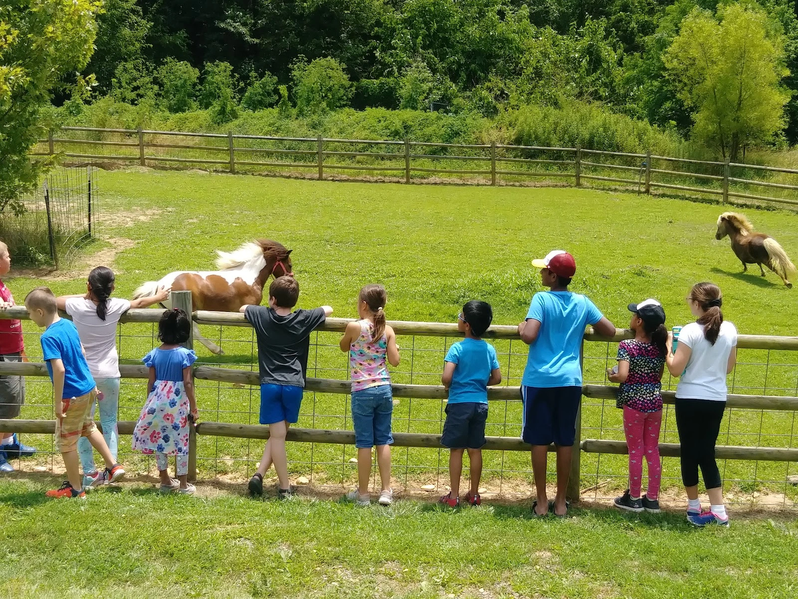 Kim's Olympic Taekwondo Center