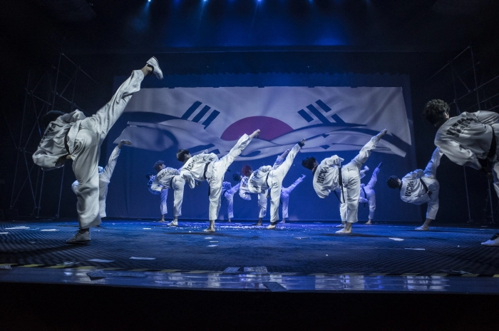 Himchari Martial Arts - Burke Commons