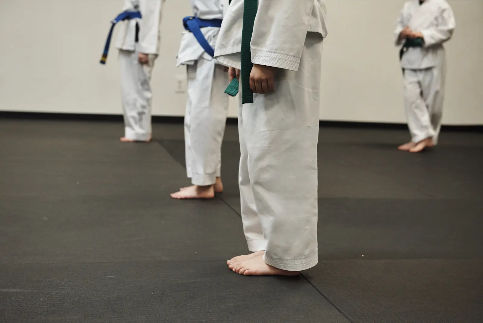 Himchari Martial Arts - Burke Commons