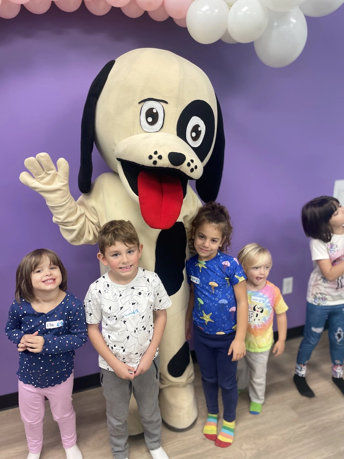 Romp n' Roll Fairfax, VA