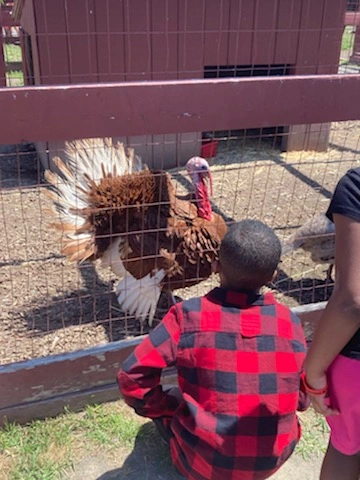 Sparkles! Early Learning Academy at Fair Oaks