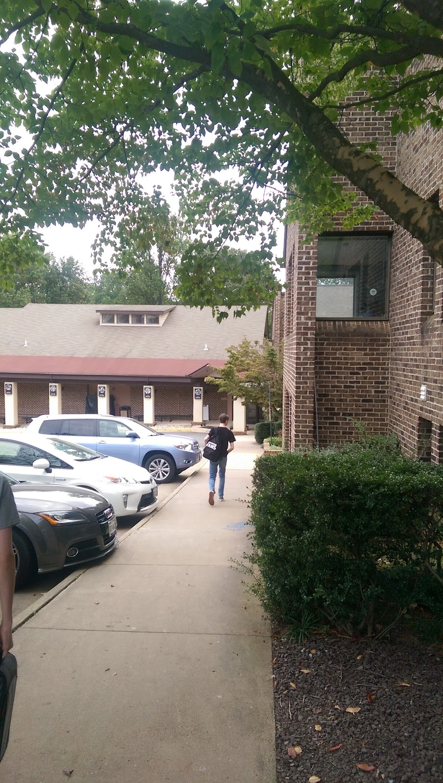 The New School of Northern Virginia