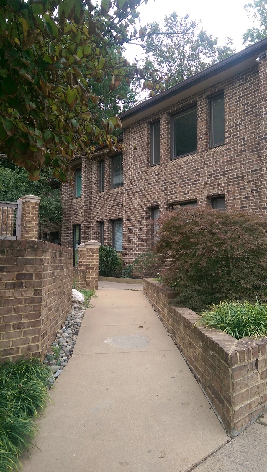 The New School of Northern Virginia