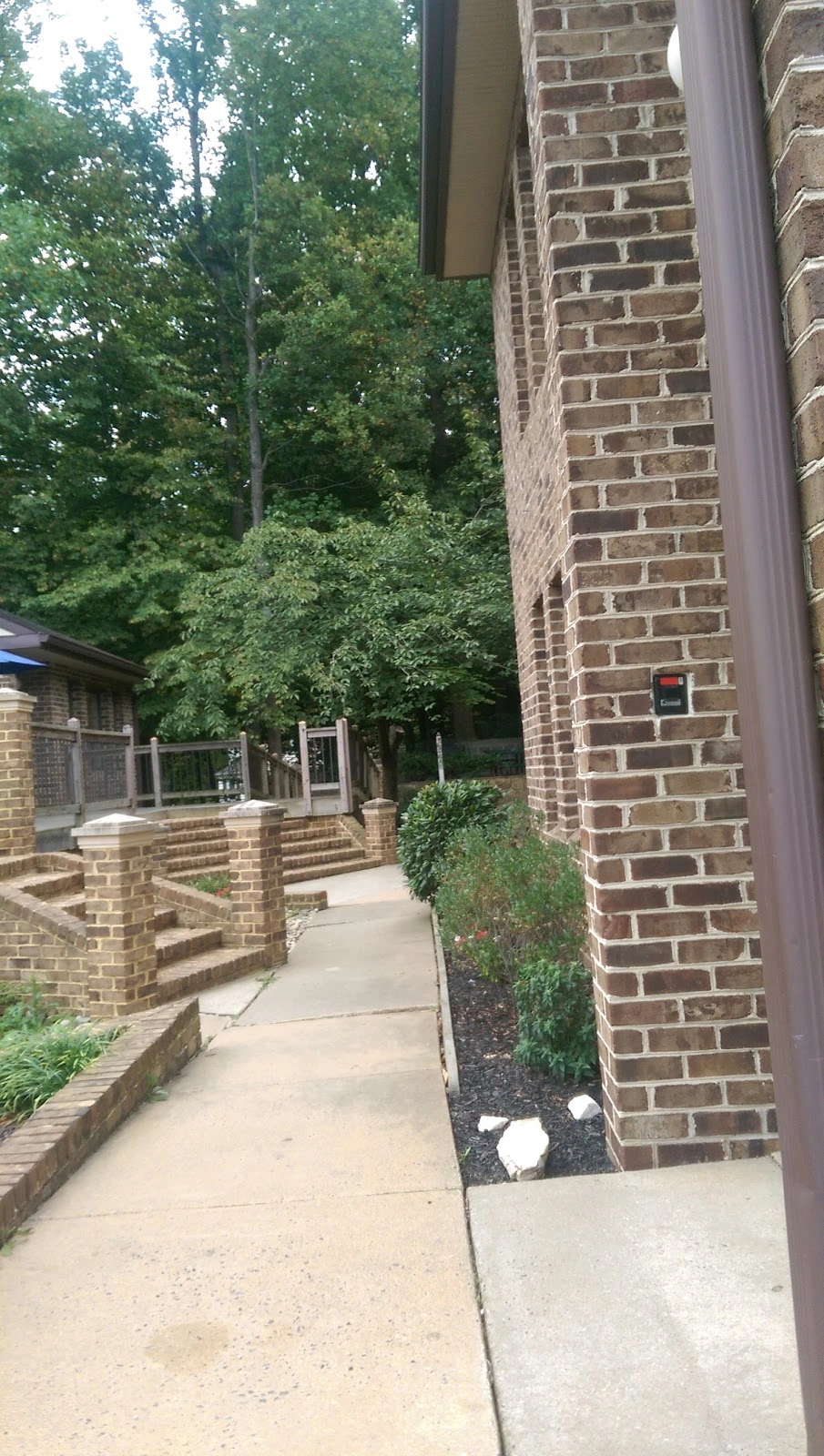 The New School of Northern Virginia