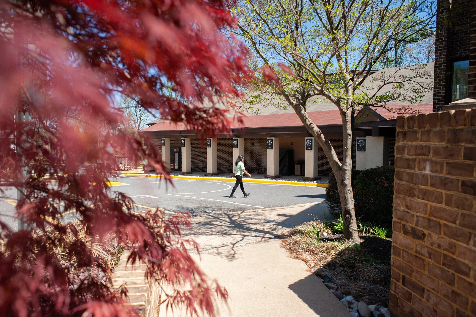 The New School of Northern Virginia