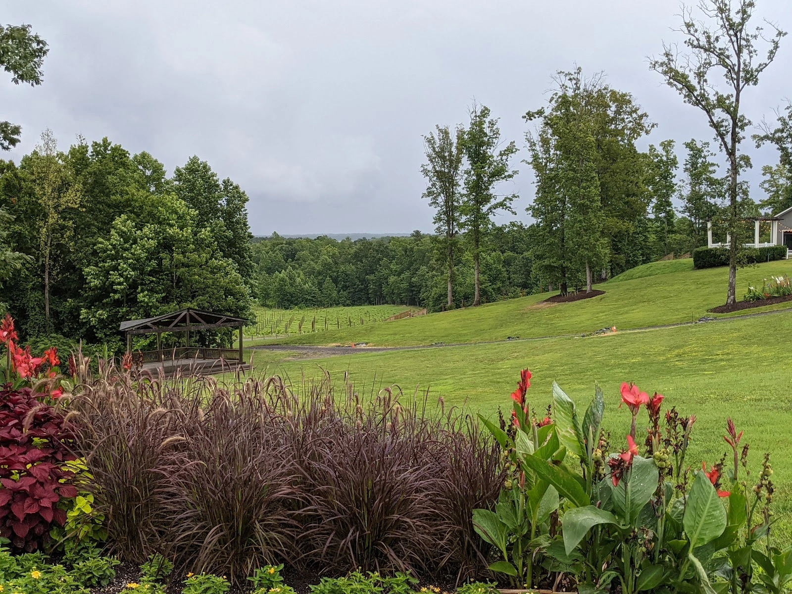 Saude Creek Vineyards