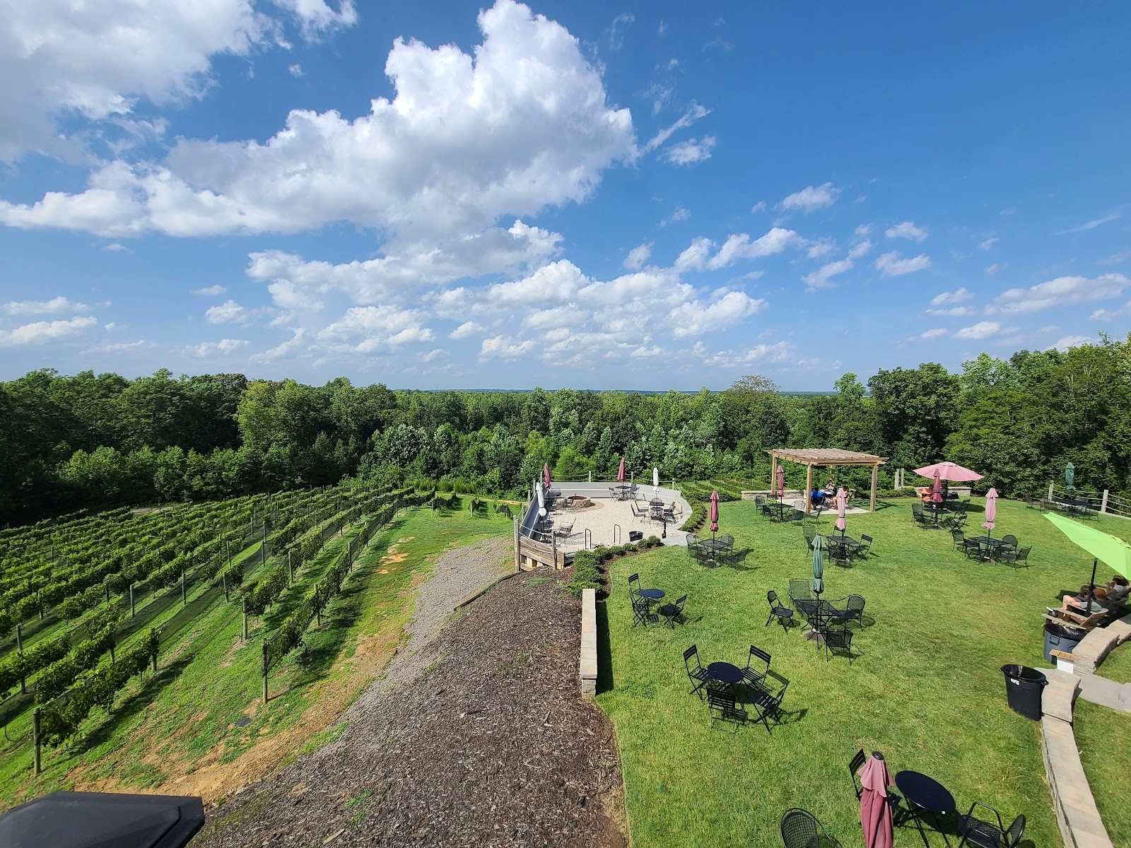 Saude Creek Vineyards