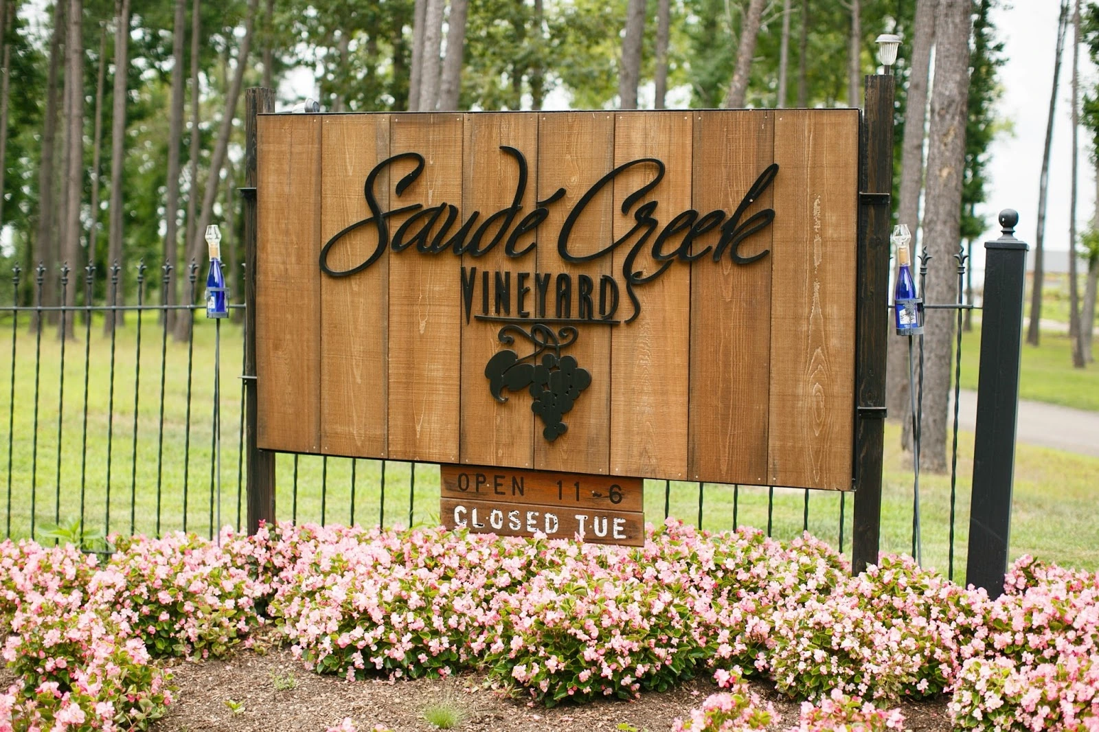 Saude Creek Vineyards