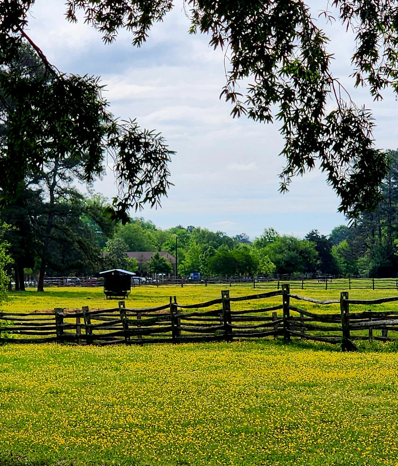 Colonial Williamsburg Hotels