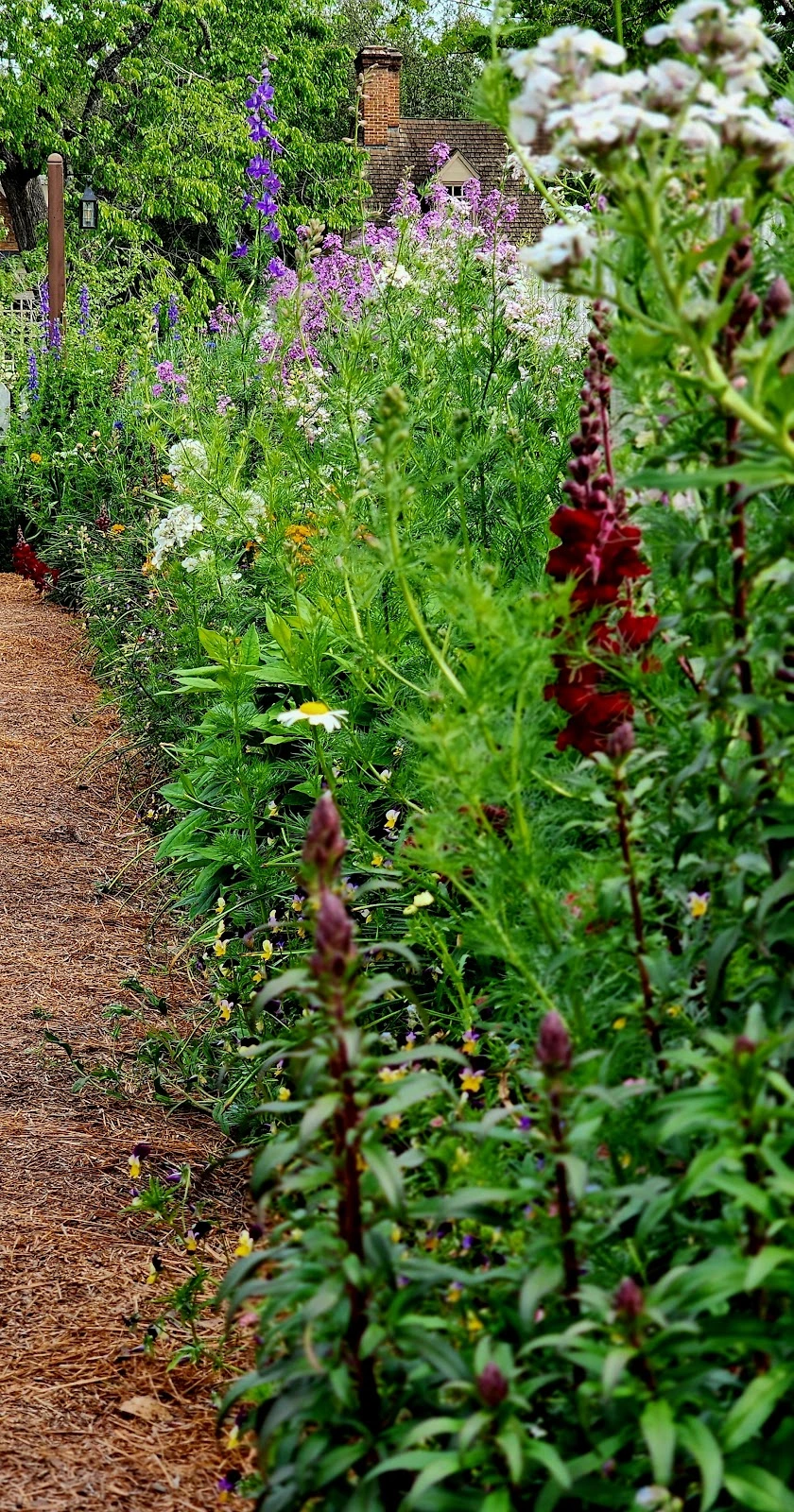 Colonial Williamsburg Hotels