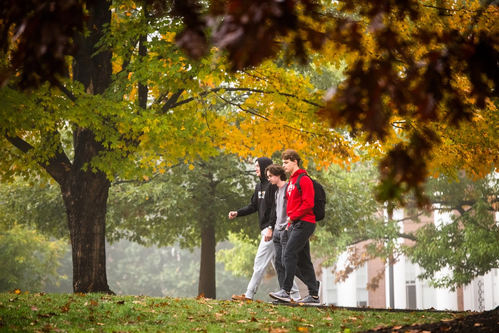 Cloverlea Farmhouse and Memorial Gardens