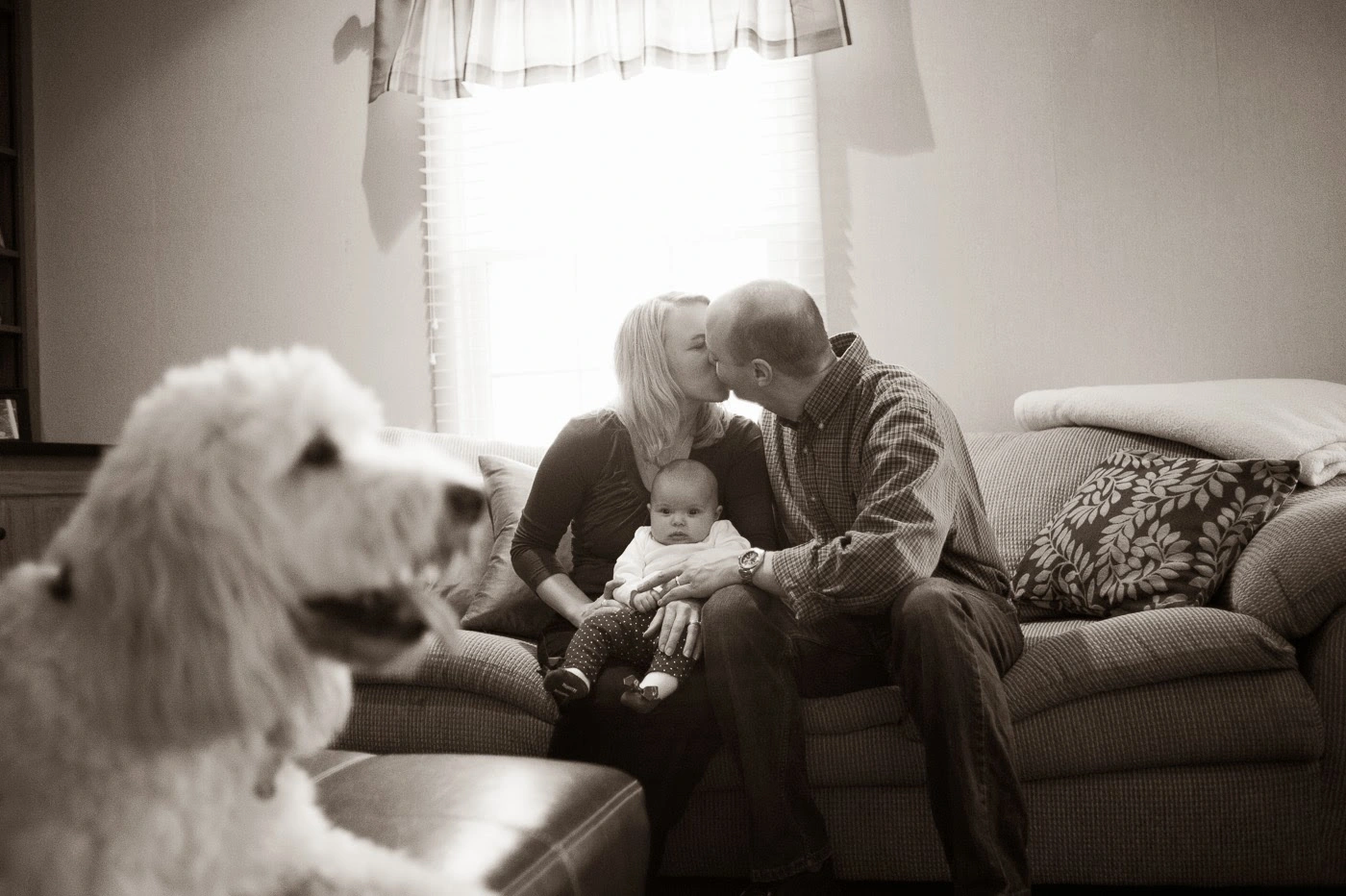 Schaffer Photography