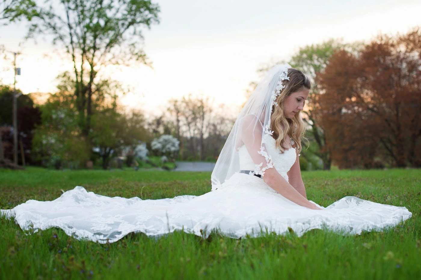 Schaffer Photography