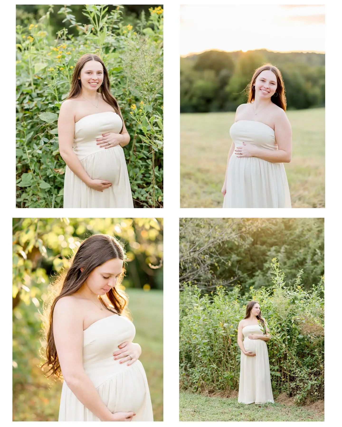 Ariana Reed Photography