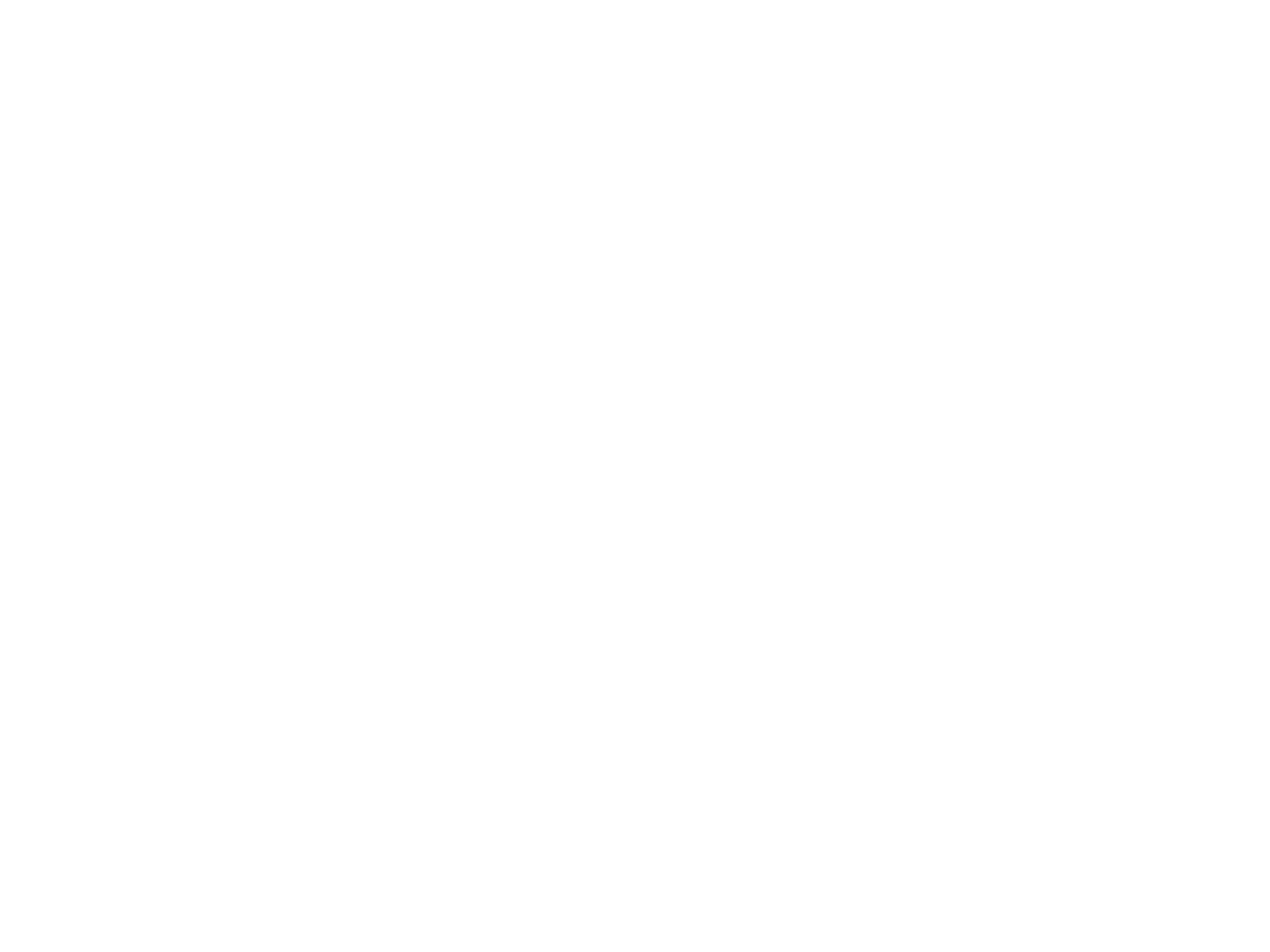 Budget Blinds