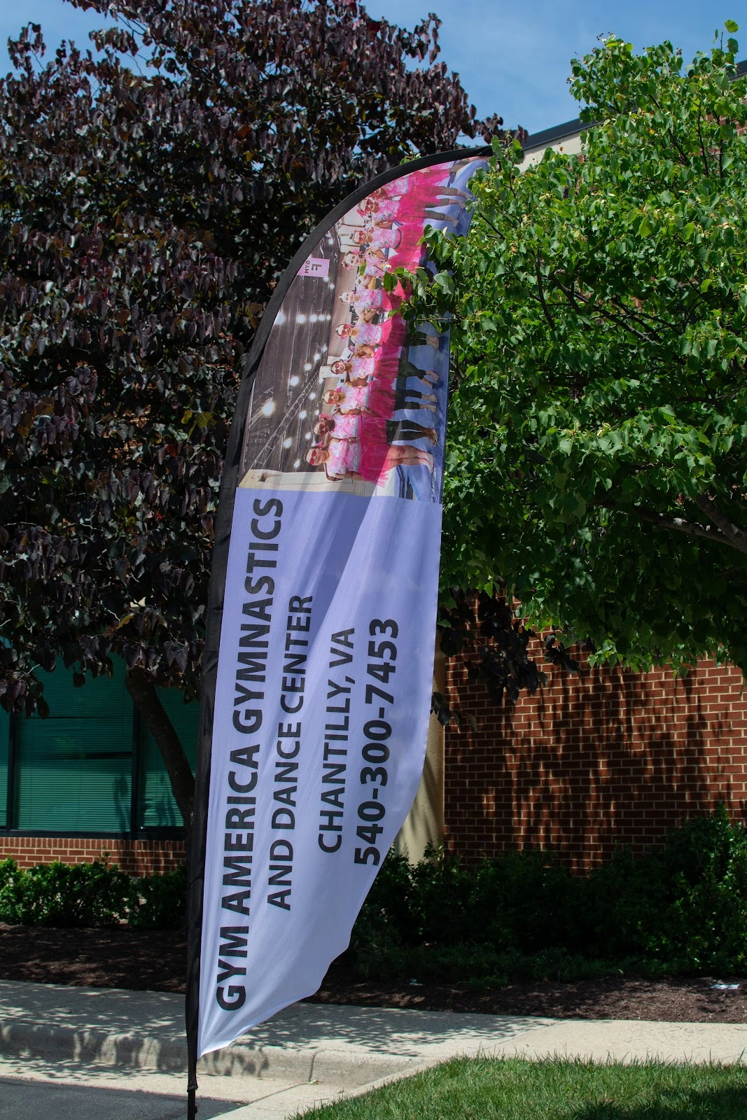 Gym America - Gymnastics & Dance Center