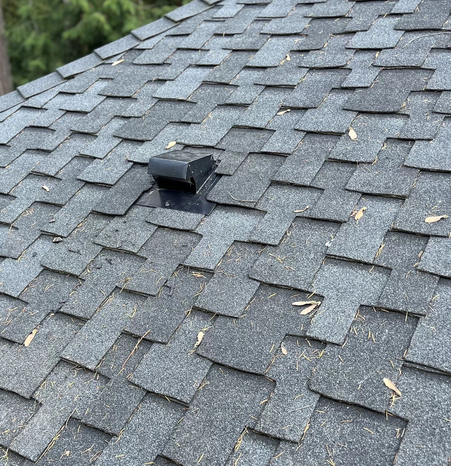 Gutter & Roof Solutions NW