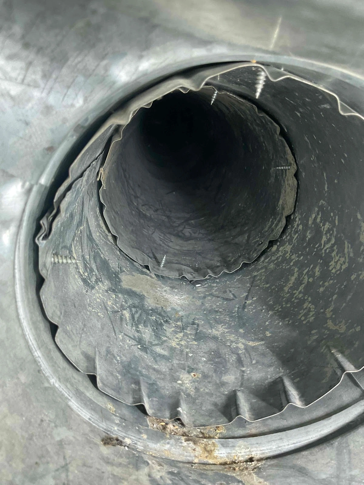 Alpine Specialty Services