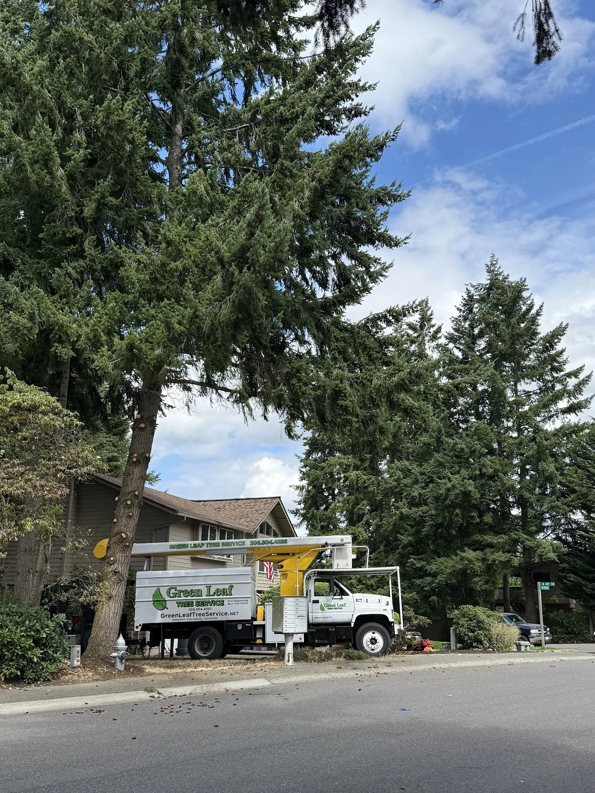 Green Leaf Tree Service