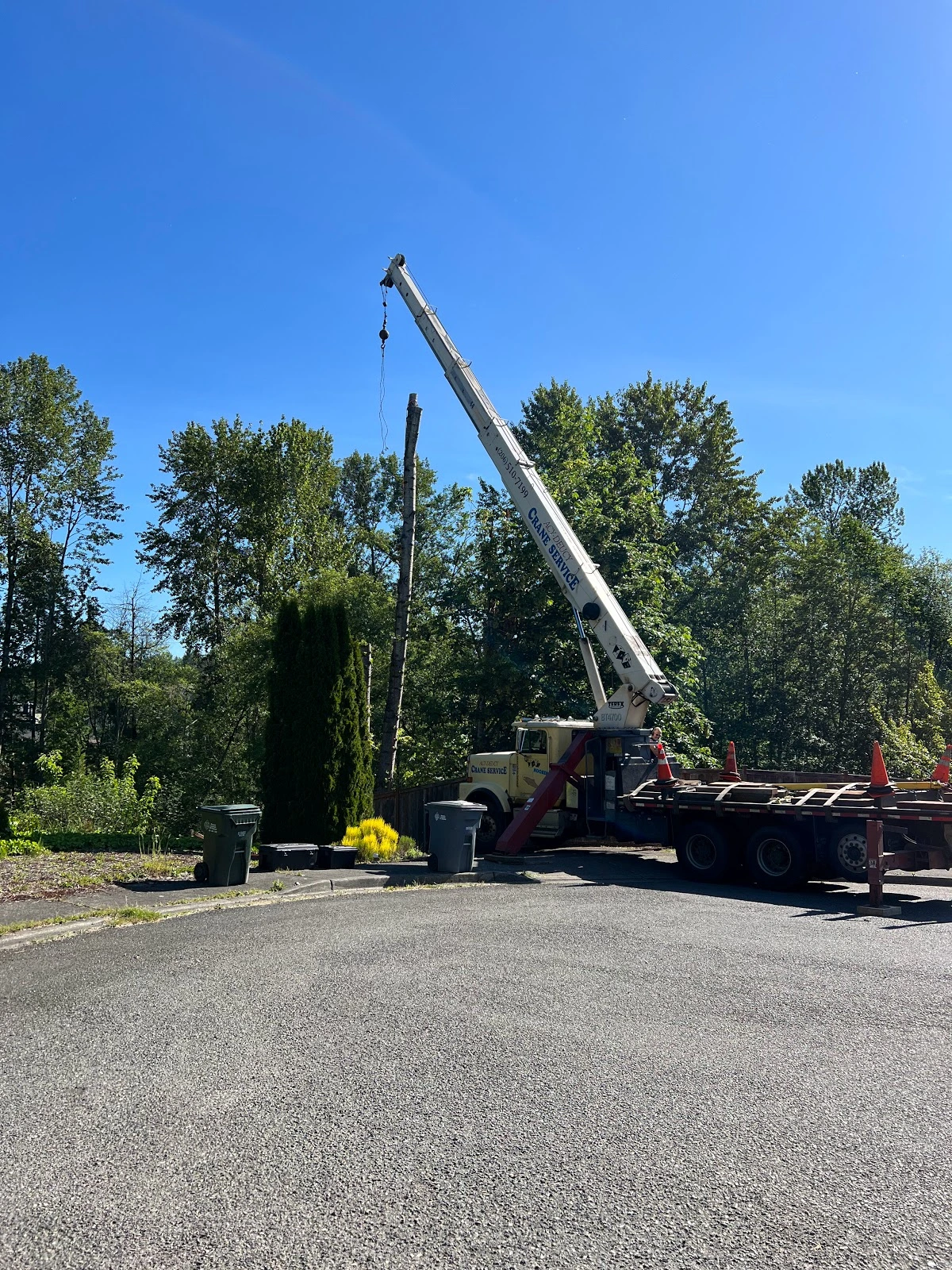 Green Leaf Tree Service