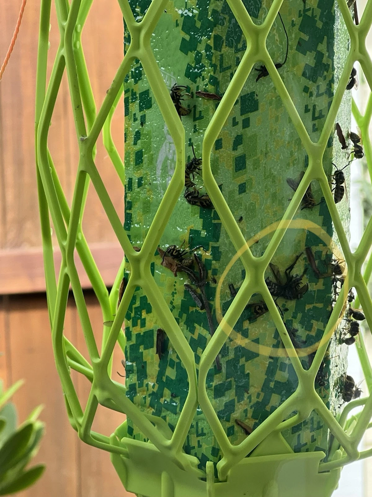 Eastside Exterminators