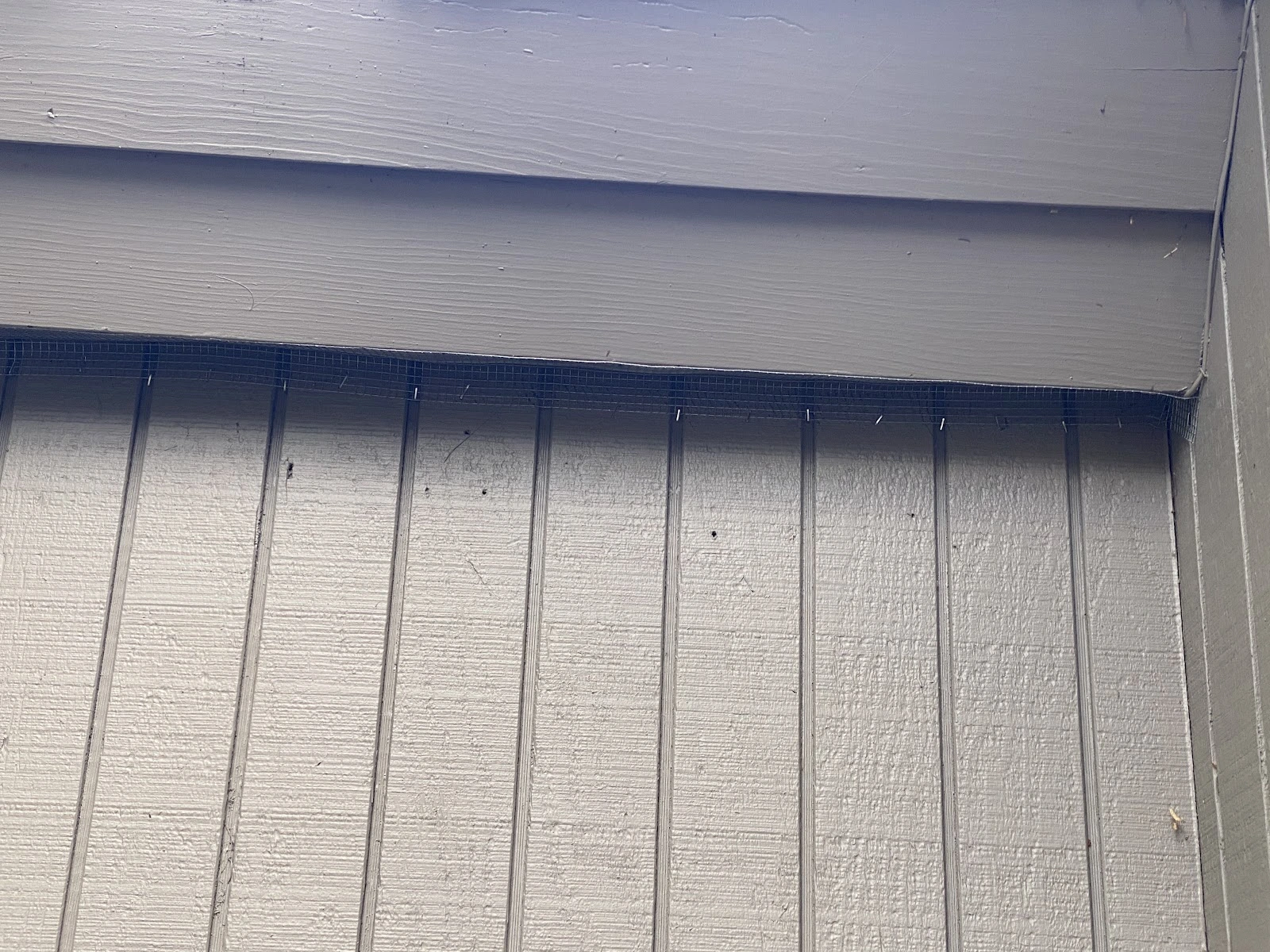 Eastside Exterminators