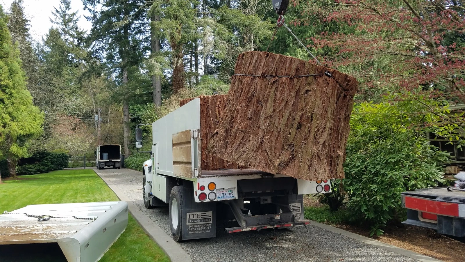 Darrel Emel's Tree Service