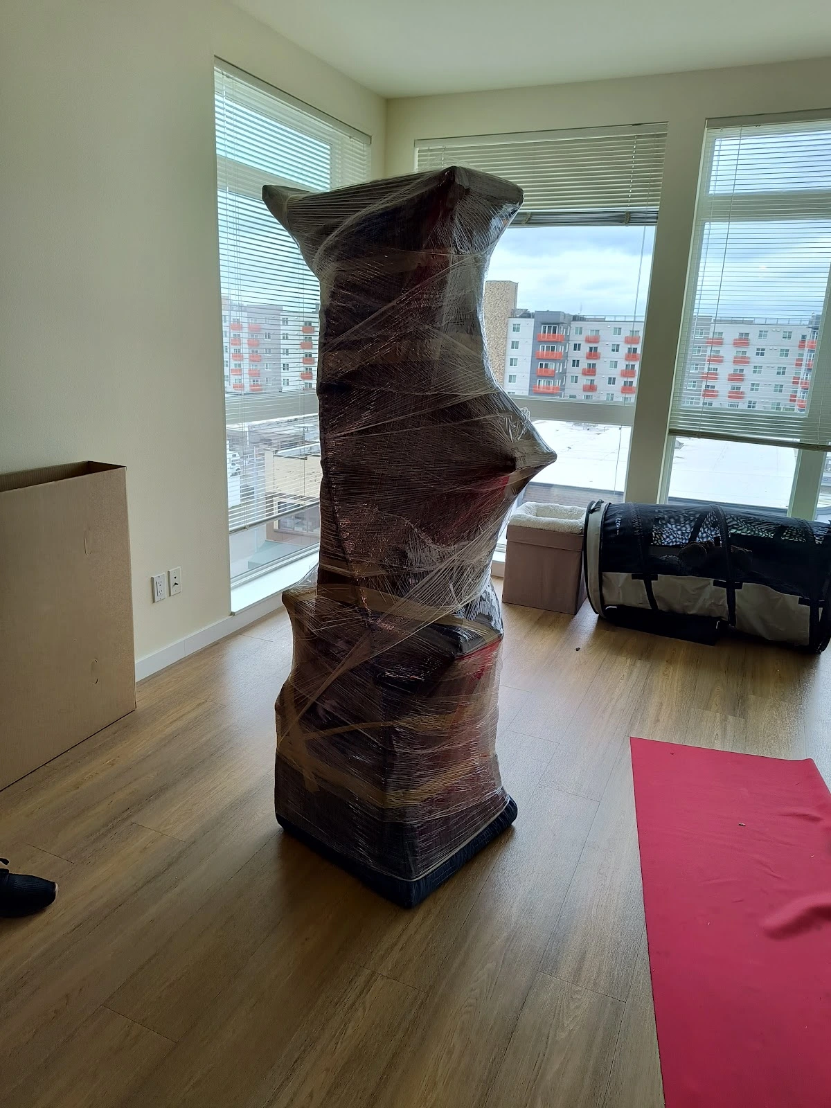 CMS Relocation & Logistics