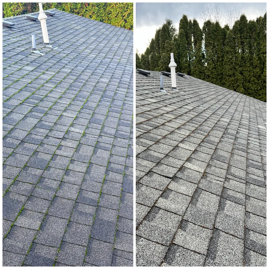 AA Window and Gutter Cleaning