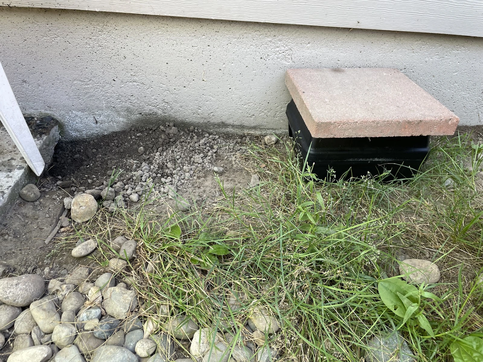 Insight Pest Solutions