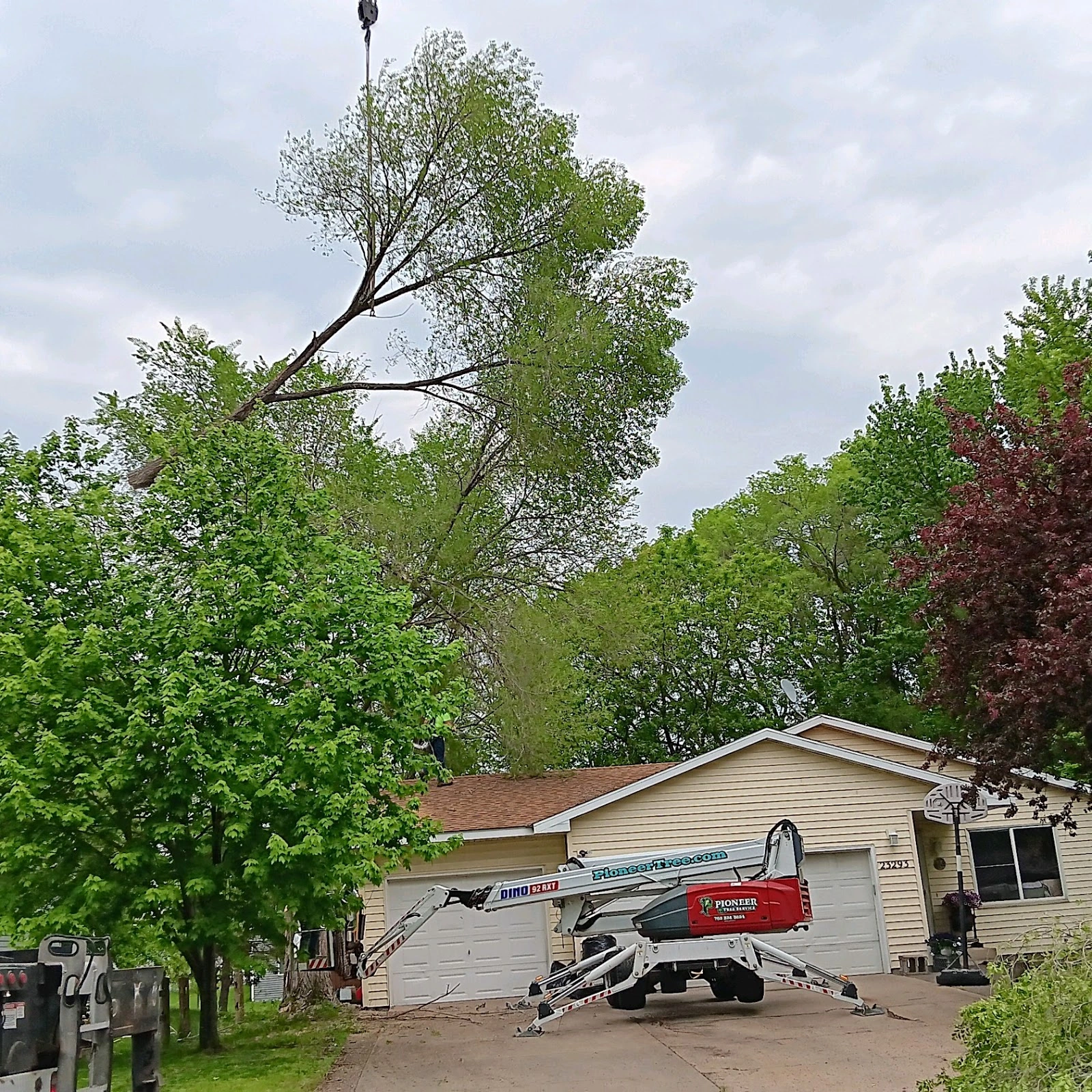 Pioneer Tree Service