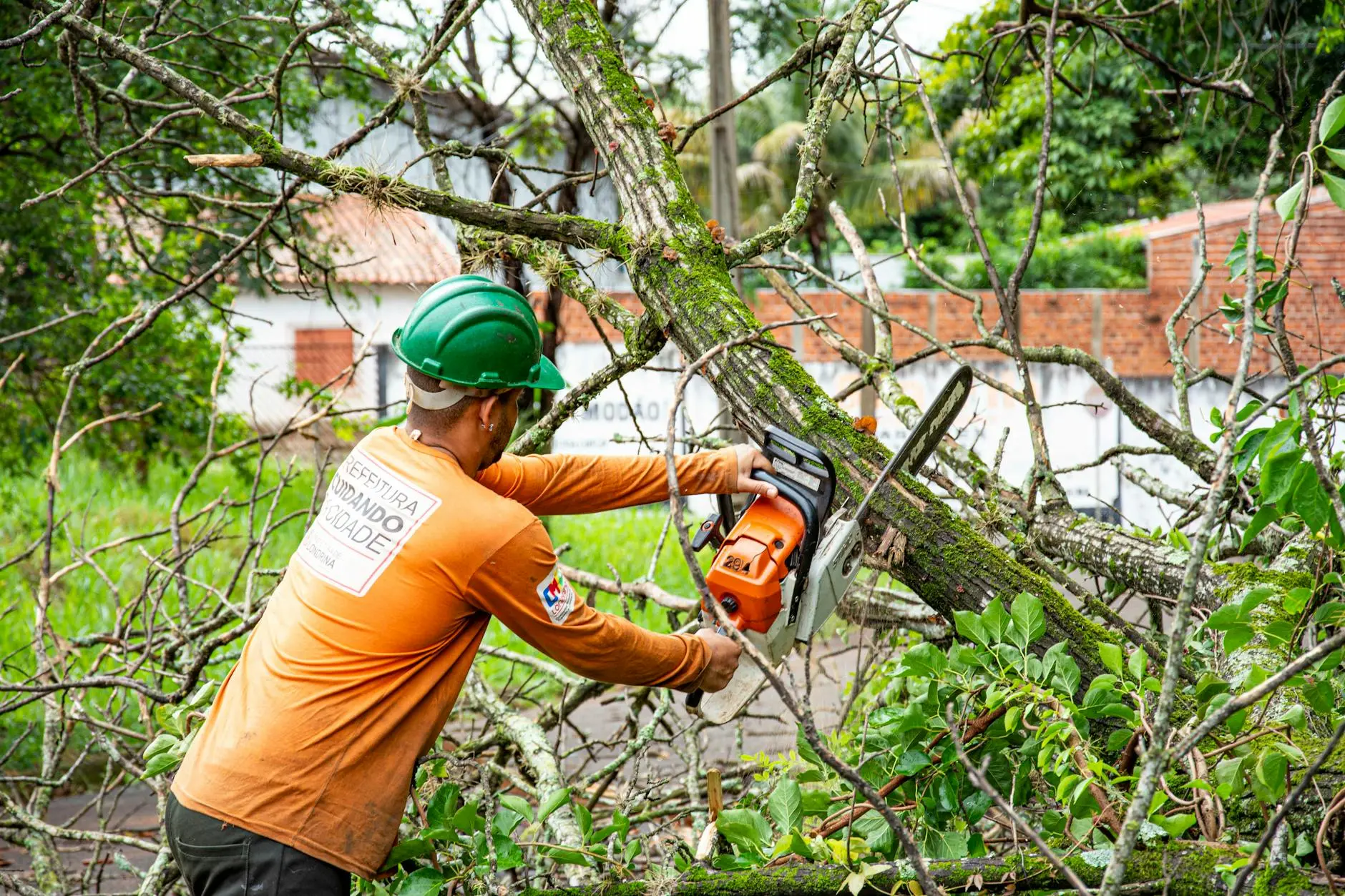 Arborsmith Pro Tree Service