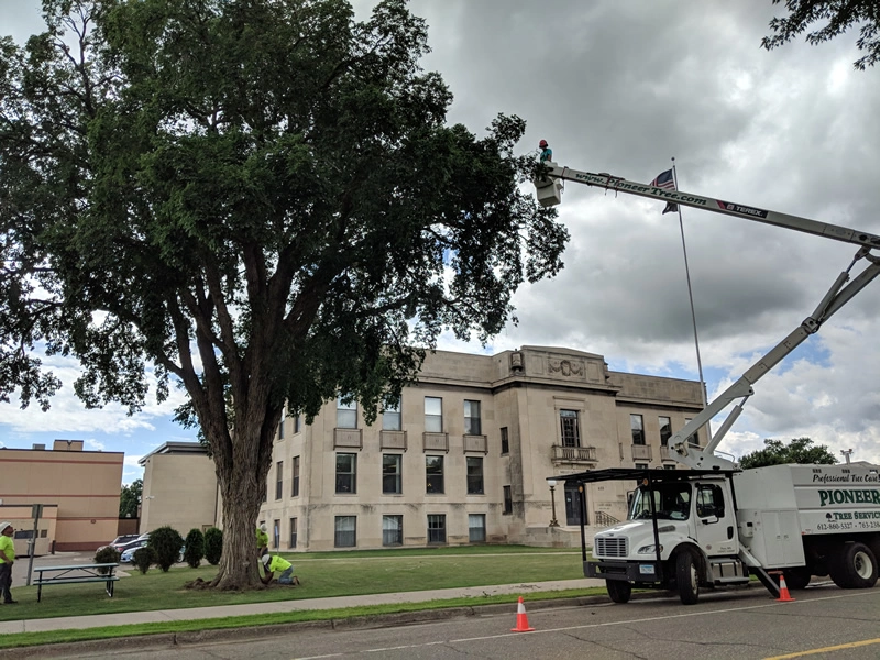 Pioneer Tree Service