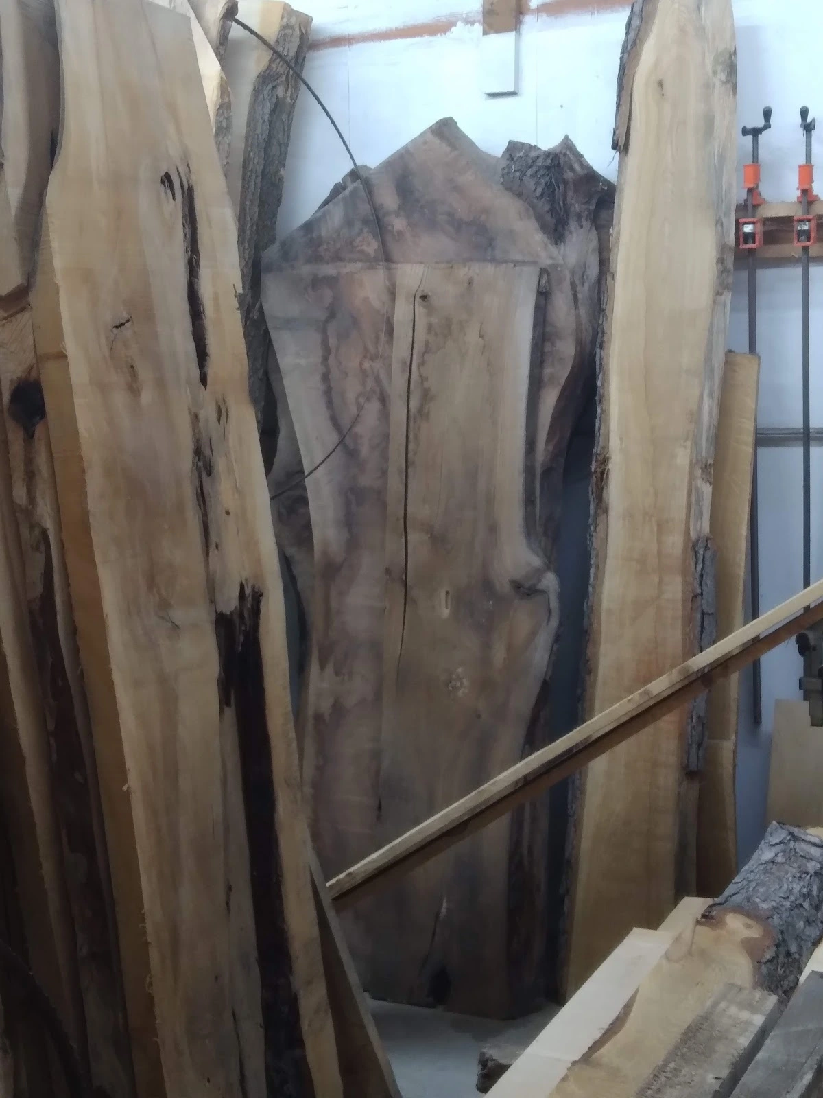 Shorewood Tree Service