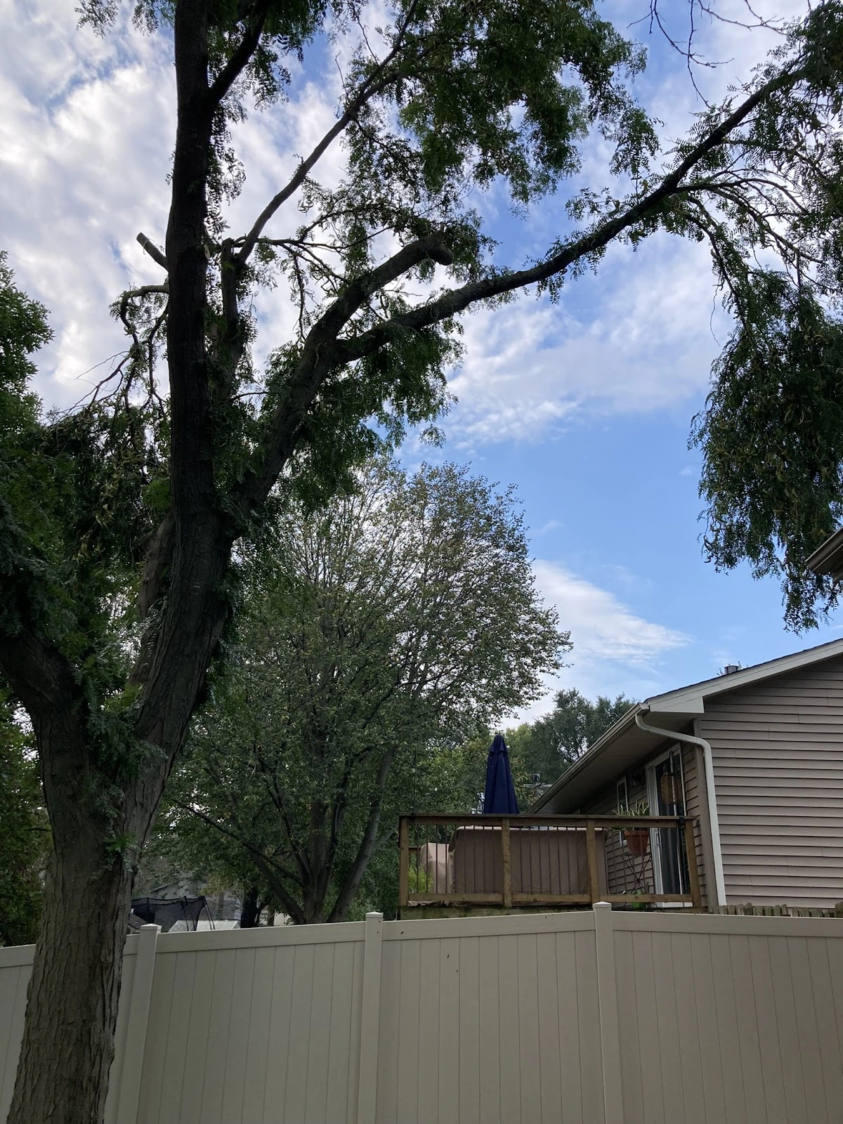 B&M Tree Service & Landscaping