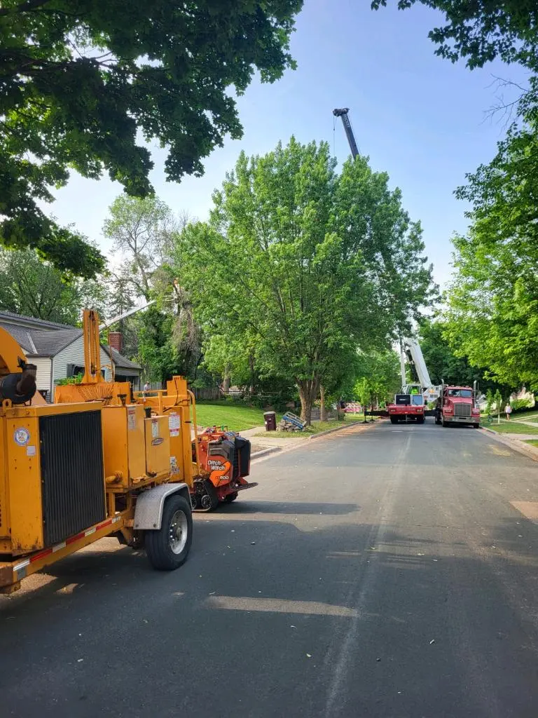 B&M Tree Service & Landscaping