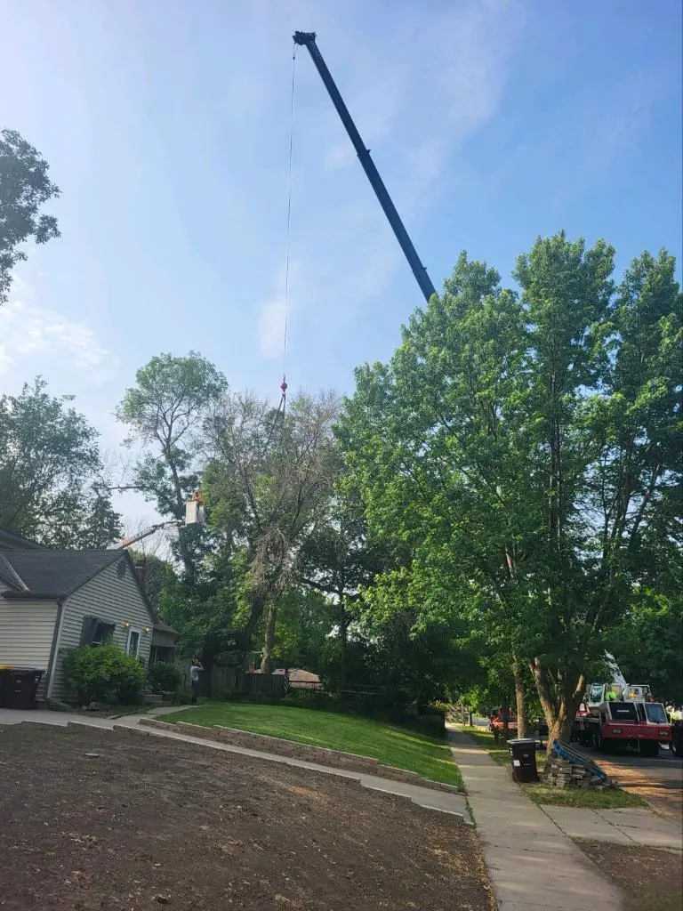 B&M Tree Service & Landscaping